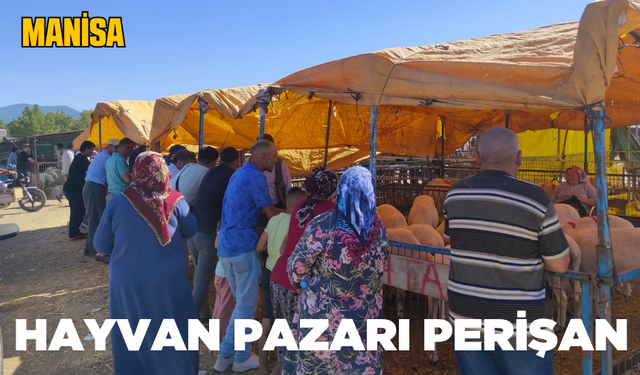Turgutlu'da hayvan pazarı çilesi