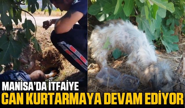 Alaşehir'de anne köpek ve yavrusu mahsur kaldığı yerden kurtarıldı
