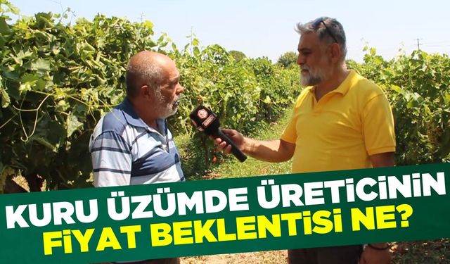 Kuru Üzümde Üreticinin Fiyat Beklentisi Ne?