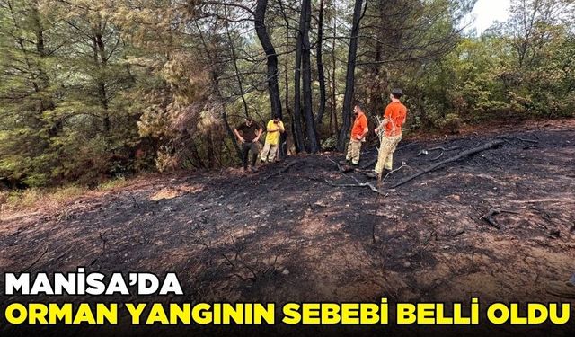 Manisa'da orman yangını yıldırım düşmesi sonucu çıktı
