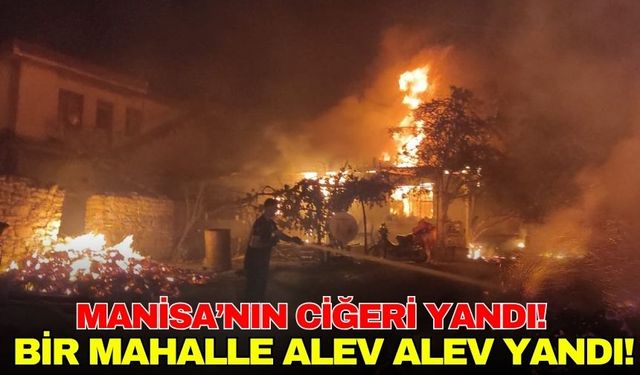 Gördes’te Orman Yangınında Bir Mahalle Alevlere Teslim Oldu!