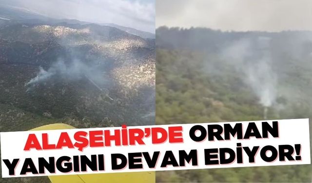 Alaşehir'de orman yangını devam ediyor!