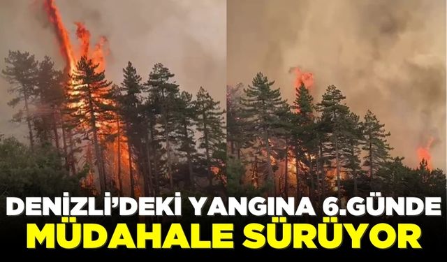 Denizli'deki yangına havadan ve karadan müdahale sürüyor