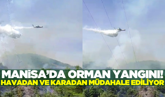 Manisa'da orman yangını! Havadan ve karadan müdahale ediliyor