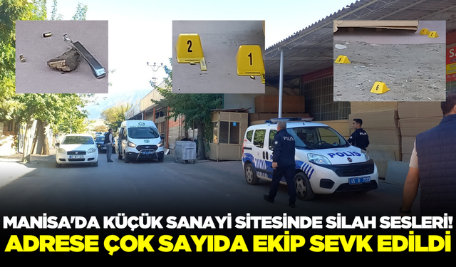 Manisa'da tabancayla havaya ateş açan kişi gözaltına alındı