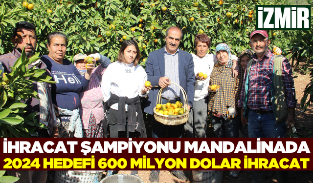 Satsuma mandalinada ihracat hedefi 150 milyon dolar