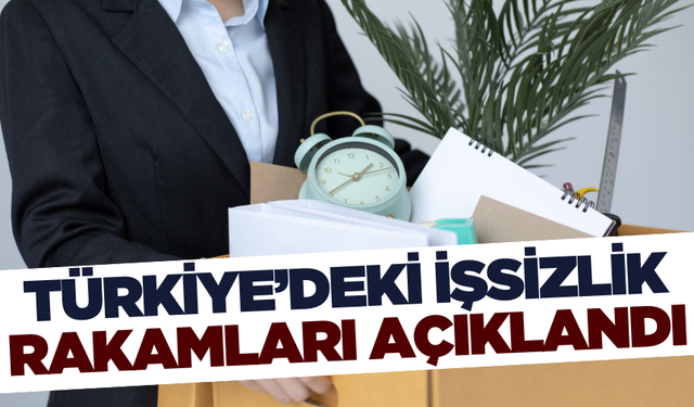 Türkiye'de 2024 Ağustos ayı işsiz sayısı belli oldu