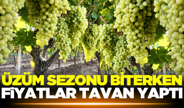 Sarıgöl'de üzüm sezonunun sonunda fiyatlar tavan yaptı