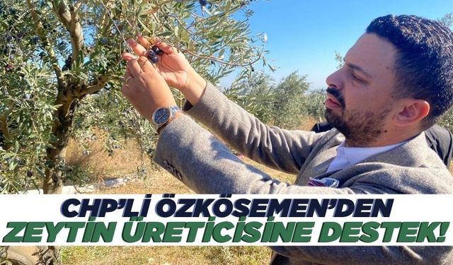 CHP İlçe Başkanı Özkösemen, zeytin üreticisinin sesine kulak verdi!