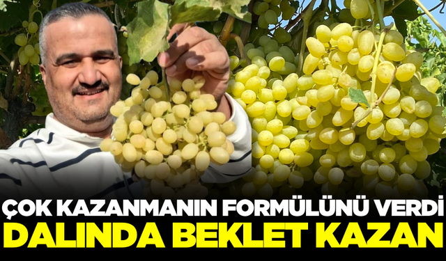 Üzümde daha fazla kazanmanın formülünü verdi!