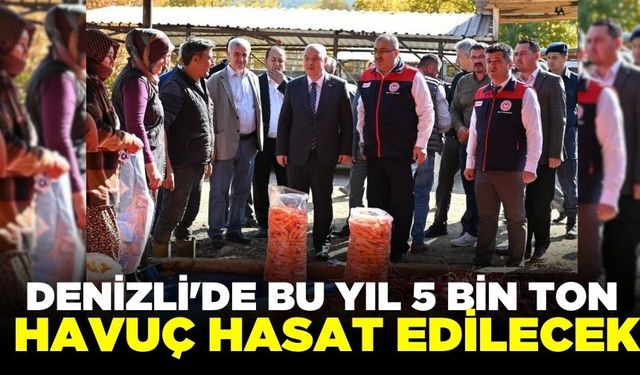 Denizli'de lezzetiyle ünlenen çakır havucu hasadı devam ediyor!