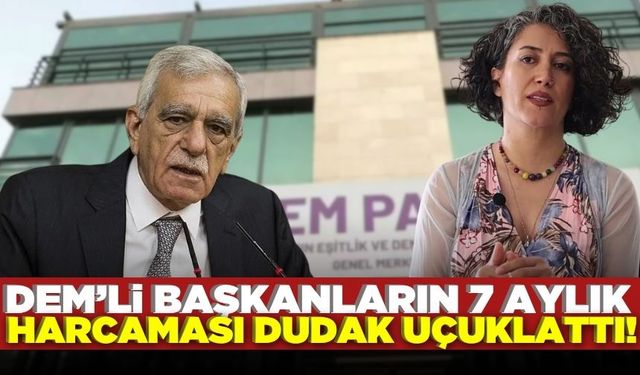 DEM'li başkanlardan 7 ayda 4 buçuk milyonluk temsil ve ağırlama harcaması