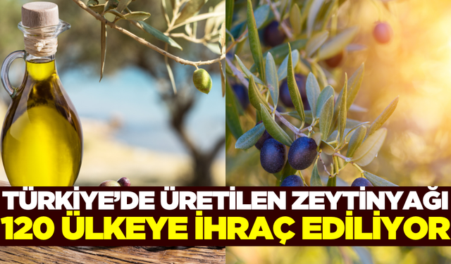 Türkiye'de üretilip 120 ülkeye ihraç ediliyor