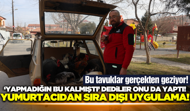 Yumurtacıdan ilginç yöntem! Bu tavuklar gerçekten geziyor
