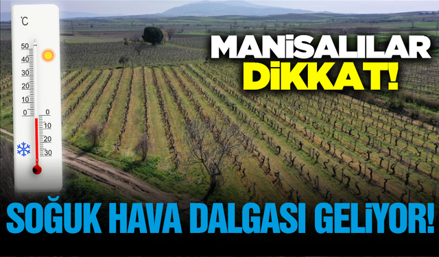 Zirai don uyarısı yapıldı! Manisa'da hava sıcaklıkları 10-15 derece düşecek
