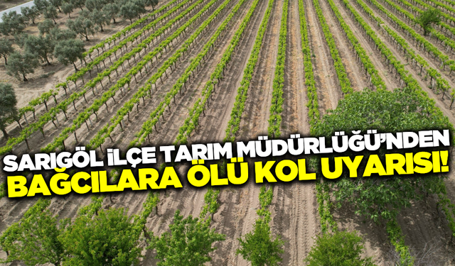 Sarıgöl İlçe Tarım ve Orman Müdürlüğü'nden bağcılara önemli uyarı