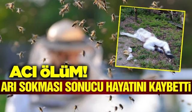 Arıcılık yapan 1 kişi arı sokması sonucu hayatını kaybetti