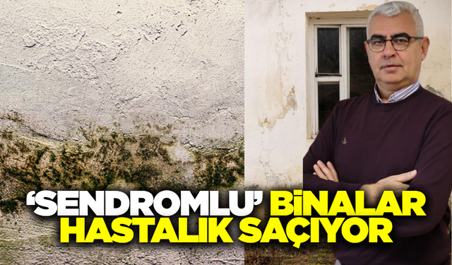 Prof. Dr. Oğuz Kılınç: "Evlerdeki Küf ve Mantar Zatürreye Neden Olabilir"