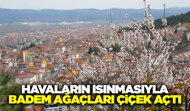 Kütahya'da havaların ısınmasıyla badem ağaçları çiçek açtı