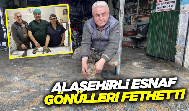 Alaşehirli Esnaf İbrahim Aydın’ın sahiplendiği Tekir, dükkanın maskotu oldu