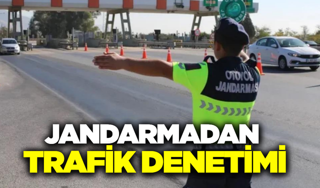 Aydın'da jandarmadan trafik denetimi