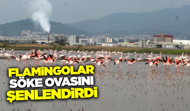 EKODOSD Başkanı Sürücü: "Sulak alanlarımızı korumak için birlikte çalışmalıyız"