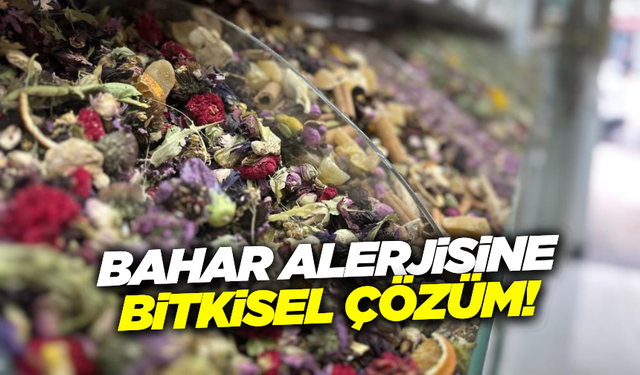 Aktar Muhammed Hanzala Altun: - "Bahar alerjisi olanlar papatya ve melisa çayları tüketebilir"