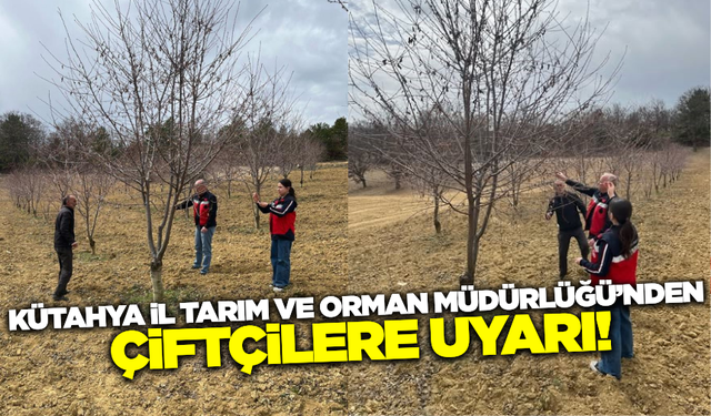 Kütahya Tarım ve Orman İl Müdürlüğü, monilya hastalığına karşı üreticileri bilgilendirdi