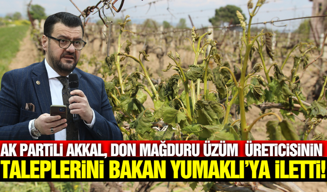 Milletvekili Akkal, Manisa’daki son durumu Bakan Yumaklı'ya aktardı!
