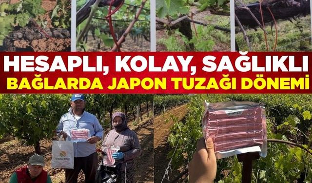 Sarıgöl'de feromon tuzak kullanımı yaygınlaşıyor