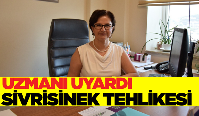 Sivrisineklere dikkat! Göründüğünden daha tehlikeli