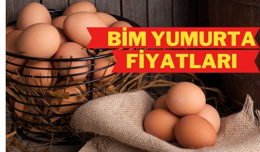 Bim Yumurta Fiyatları | Bili Bili 30'lu Yumurta Kaç TL?