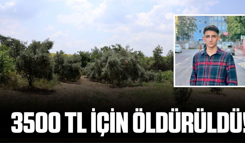 İnsan ömrü 3500 TL'ye kadar düştü! Adana'da kahreden ölüm!