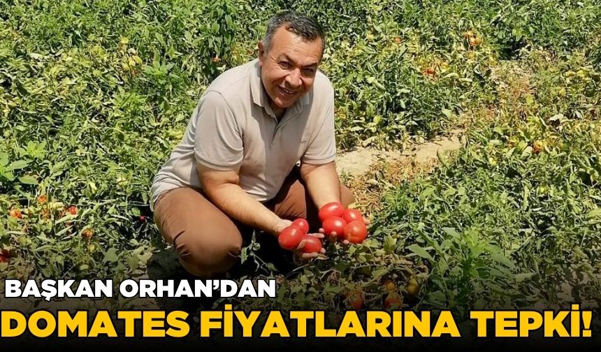 Başkan Orhan'dan domates fiyatına tepki