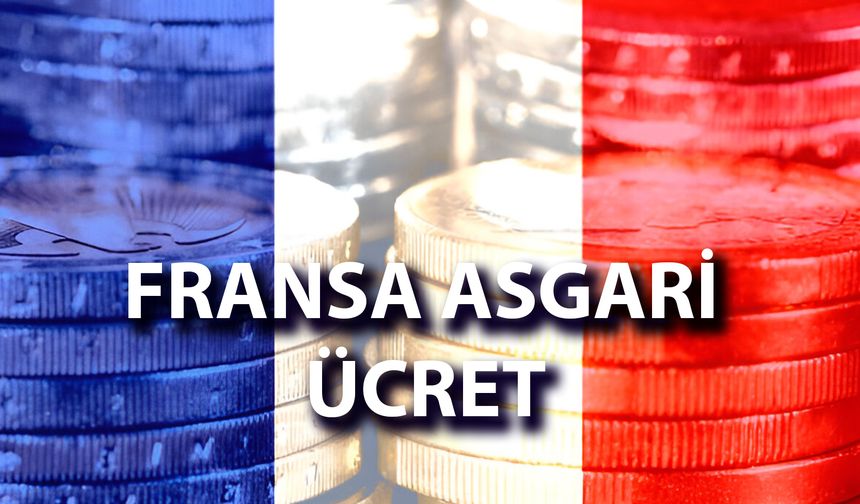 Fransa Asgari Ücret 2024: Yılı Yaşam Maliyeti ve Meslek Maaşları