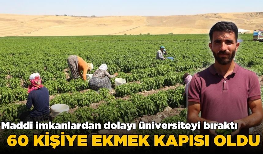 Manisa'ya biber gönderen Diyarbakırlı girişimci: 60 kişiye ekmek kapısı oldu!
