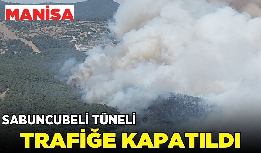 İzmir-Manisa Yolunda Yangın!