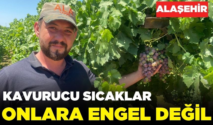 Alaşehir'de tarım işçileri  kavurucu sıcağa meydan okuyor!