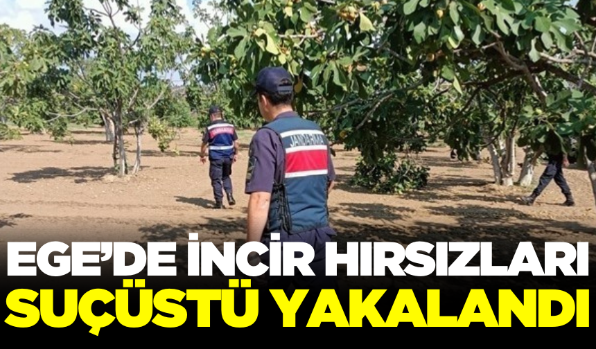 Ege'de incir hırsızlarına suçüstü