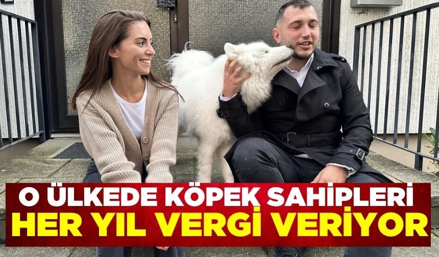 Köpek vergisini ödemeyenlere 10 bin euro ceza!