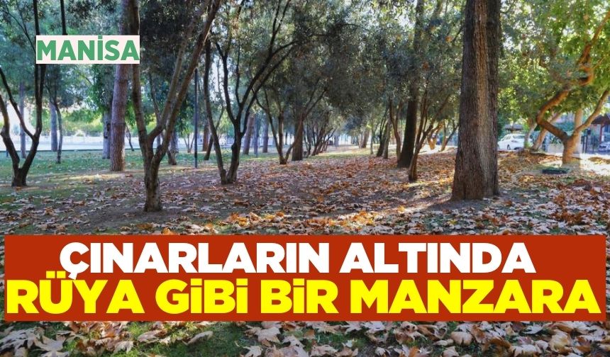 Manisa'ya hoş geldin sonbahar