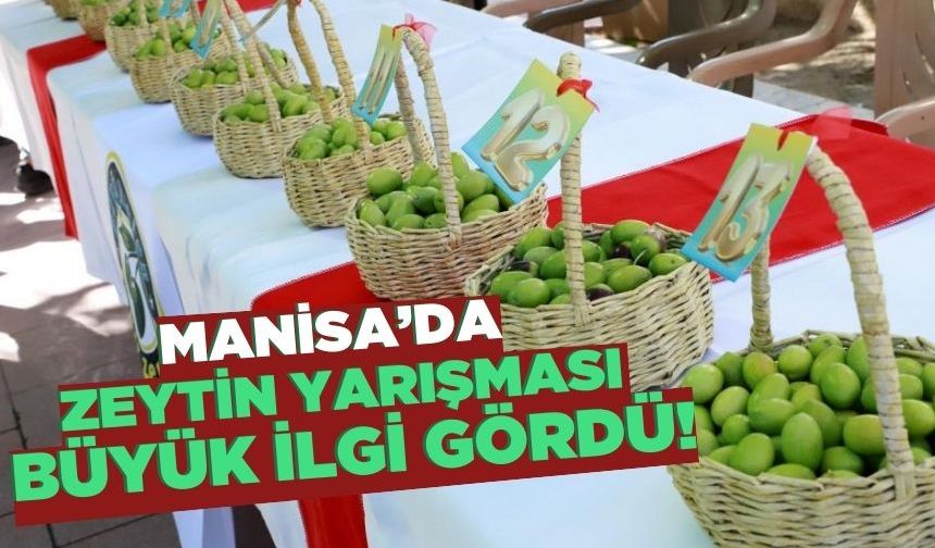 Saruhanlı'da 12. Zeytin Hasat Şenliği düzenlendi!