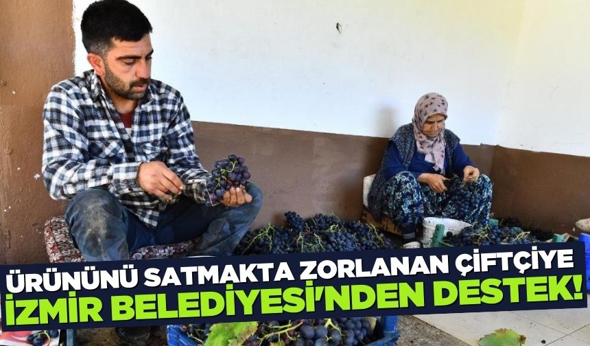 İzmir Büyükşehir'den üzüm üreticisine destek