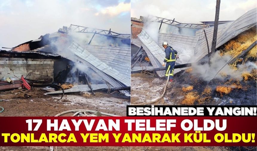 Besihanede yangın: 17 küçükbaş hayvan telef oldu