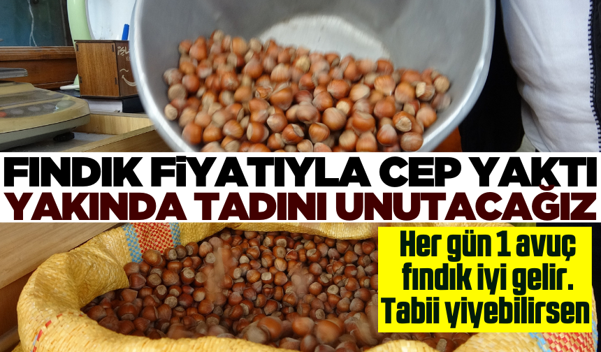 Fındık fiyatları cep yakıyor