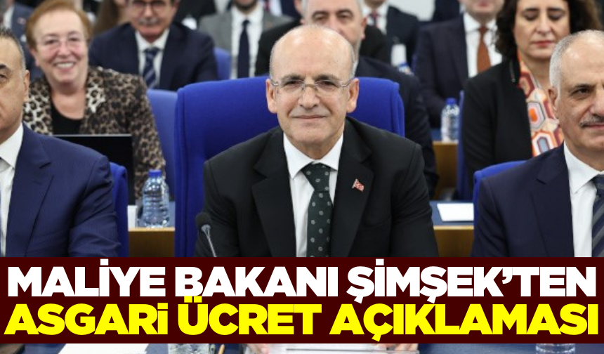 Hazine ve Maliye Bakanı Mehmet Şimşek'ten önemli açıklamalar