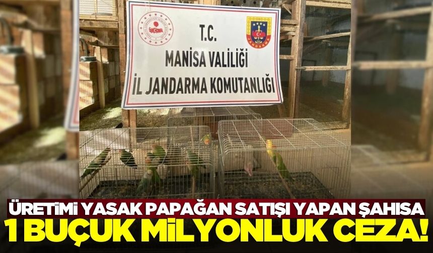 Manisa'da üretimi yasak papağan satışı yapan şahsa dudak uçuklatan ceza!