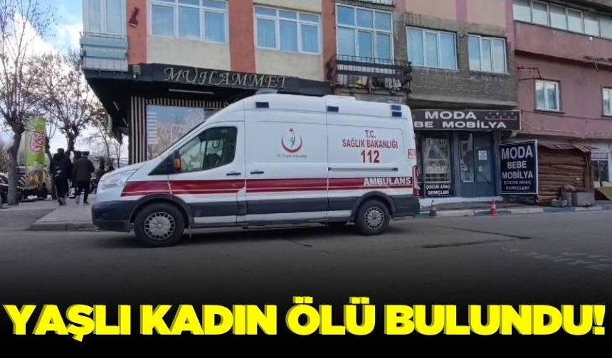 Yaşlı kadın evinde ölü bulundu