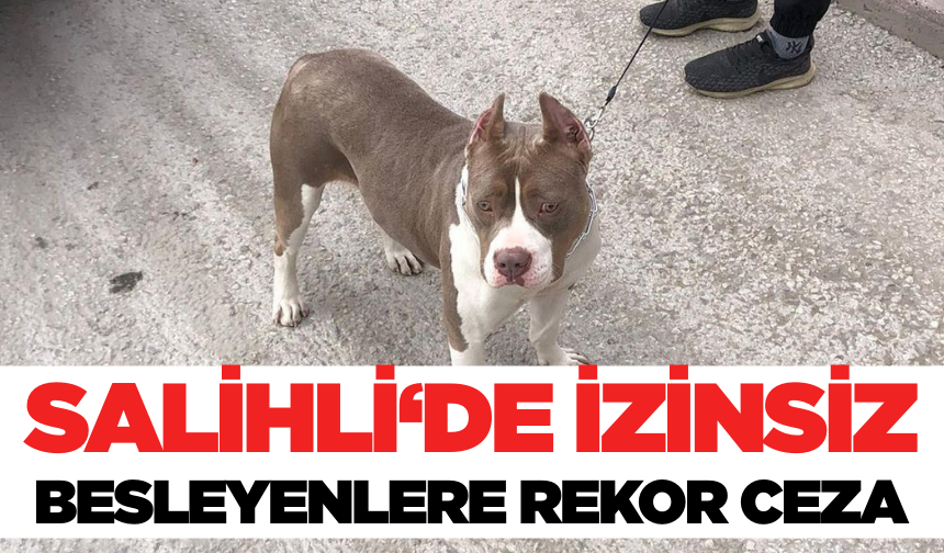 Salihli'de Tehlikeli Köpek Irkı Besleyenlere Büyük Ceza