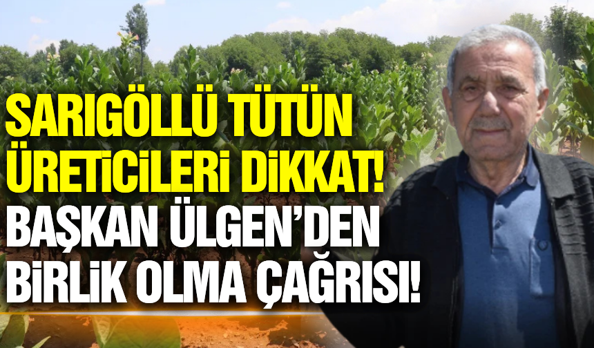 Sarıgöl Ziraat Odası Başkanı Ülgen'den tütün üreticilerine çağrı: "Avans Yoksa Üretim Yok!"